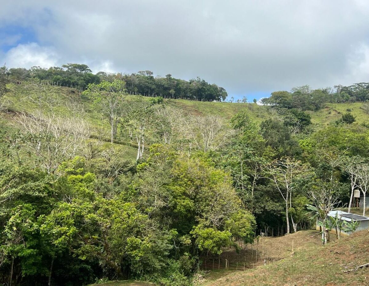 Building Lots for sale Costa Rica