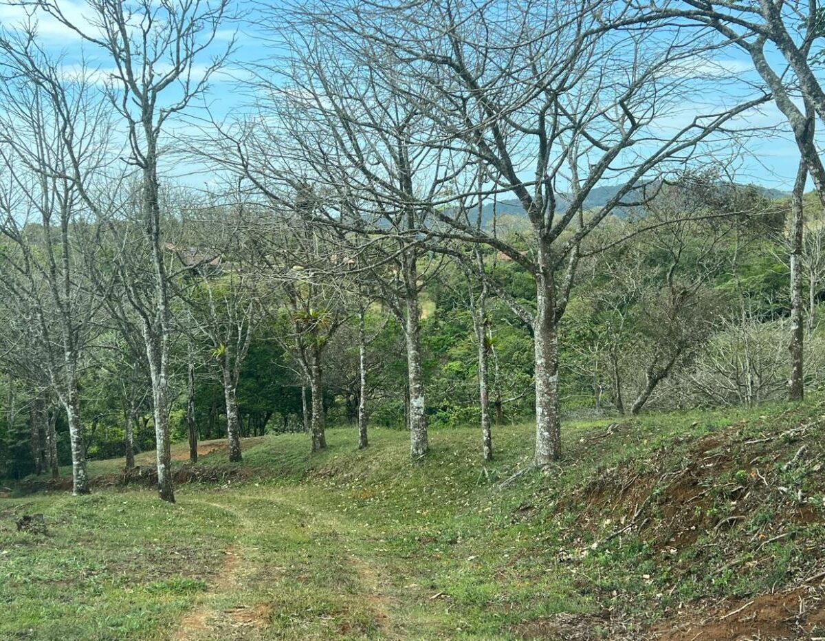 Building Lots for sale Costa Rica
