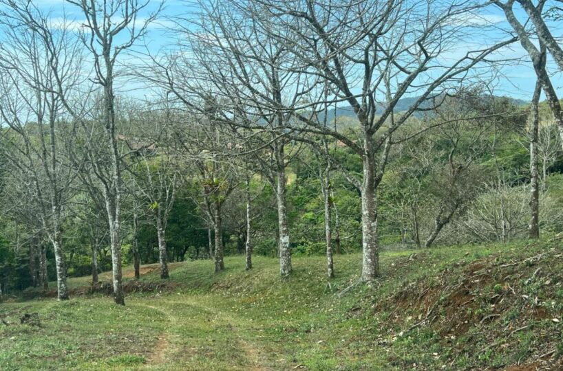 Building Lots for sale Costa Rica
