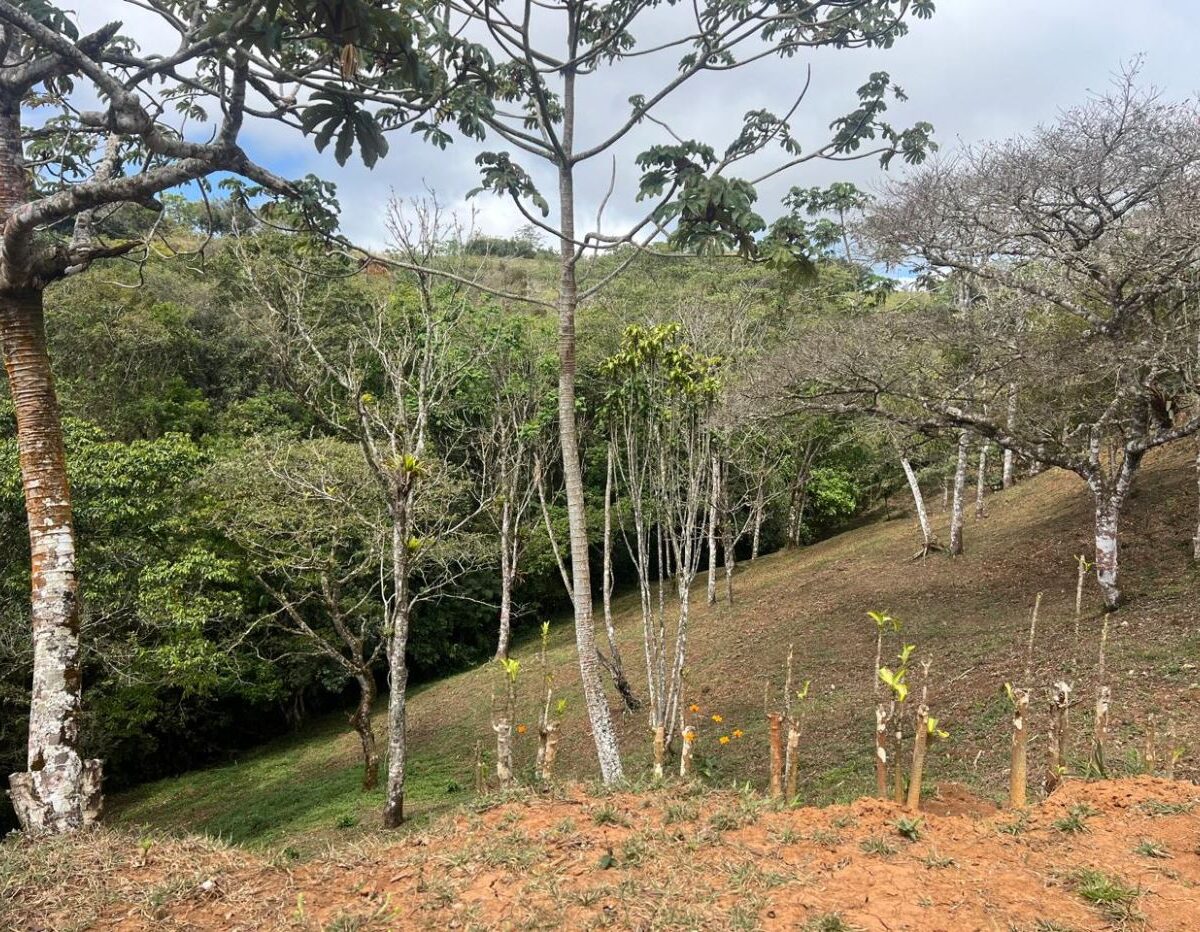 Building Lots for sale Costa Rica