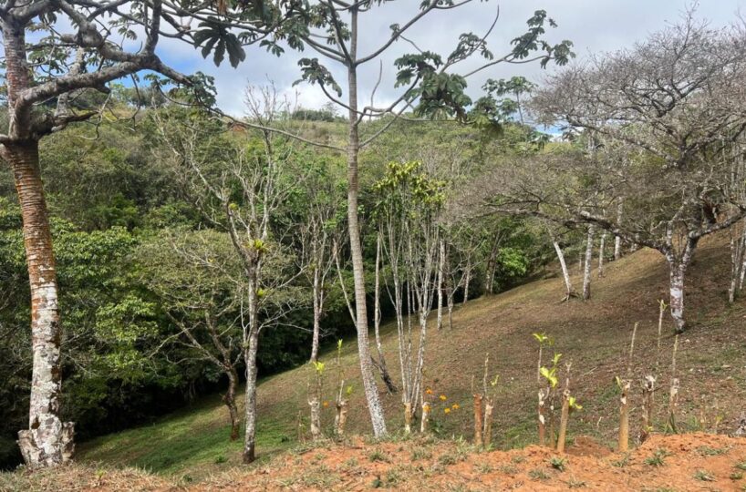Building Lots for sale Costa Rica