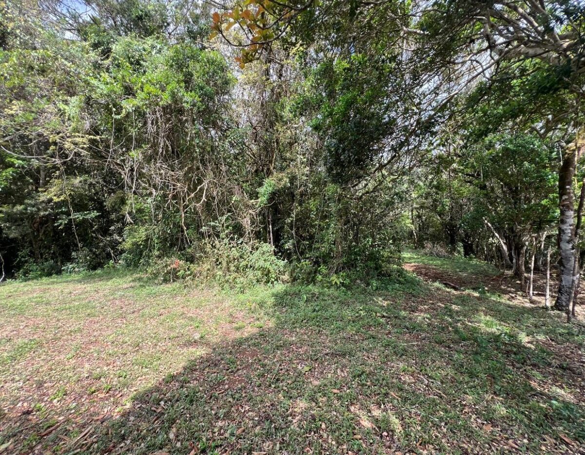 Building Lots for sale Costa Rica