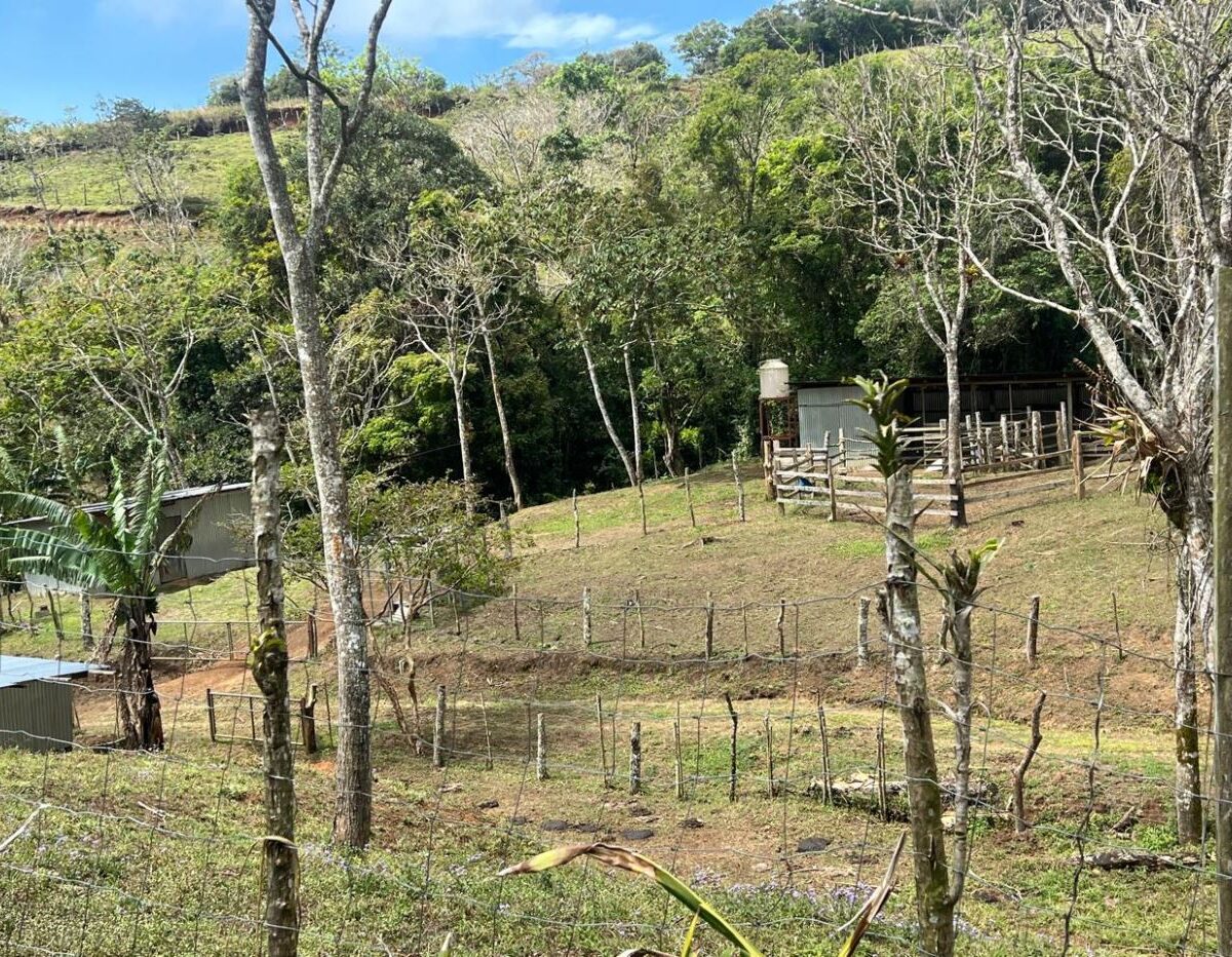 Building Lots for sale Costa Rica