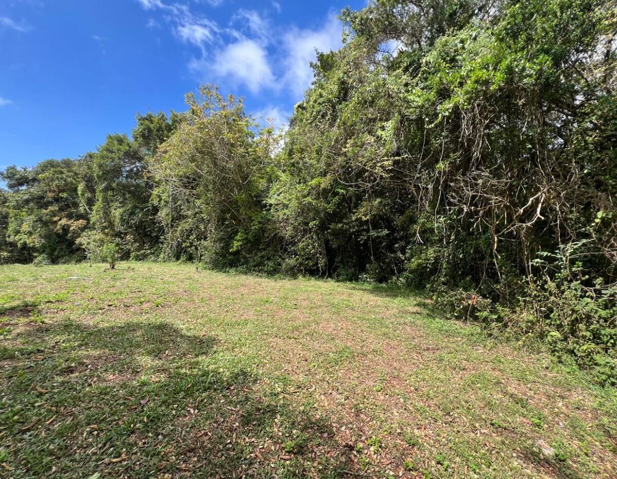 Building Lots for sale Costa Rica