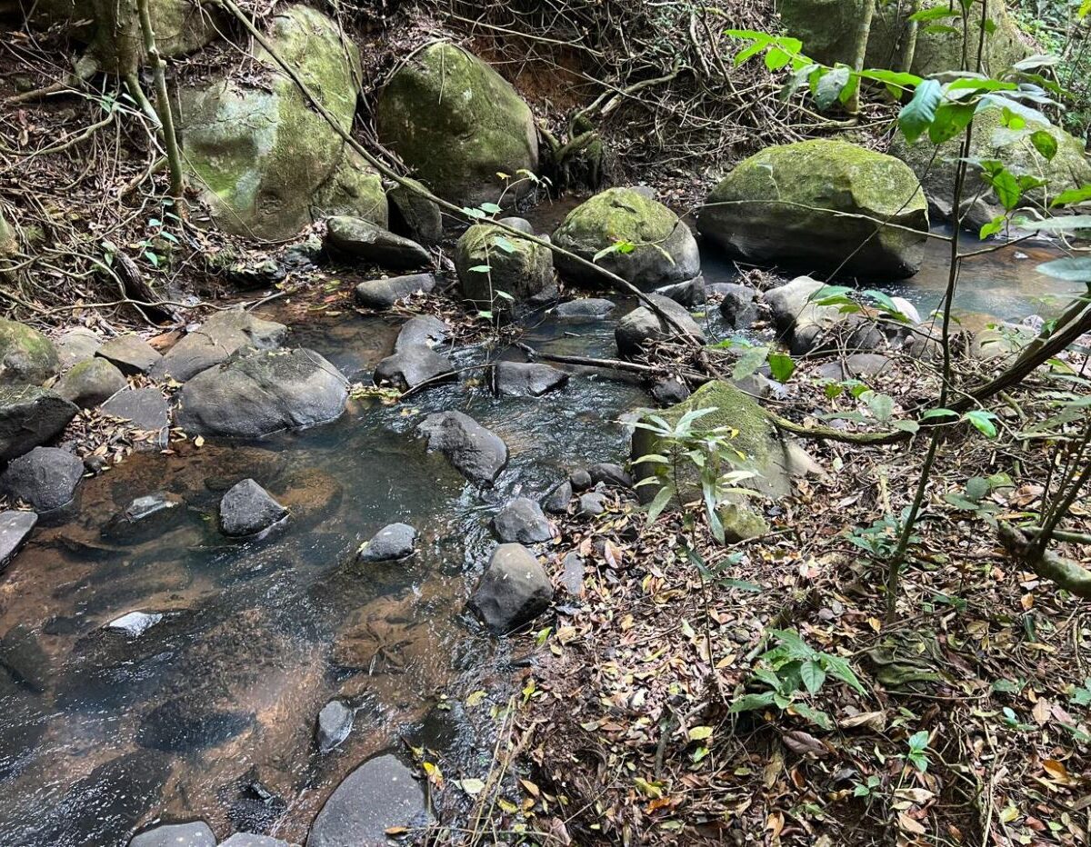 Building Lots for sale Costa Rica