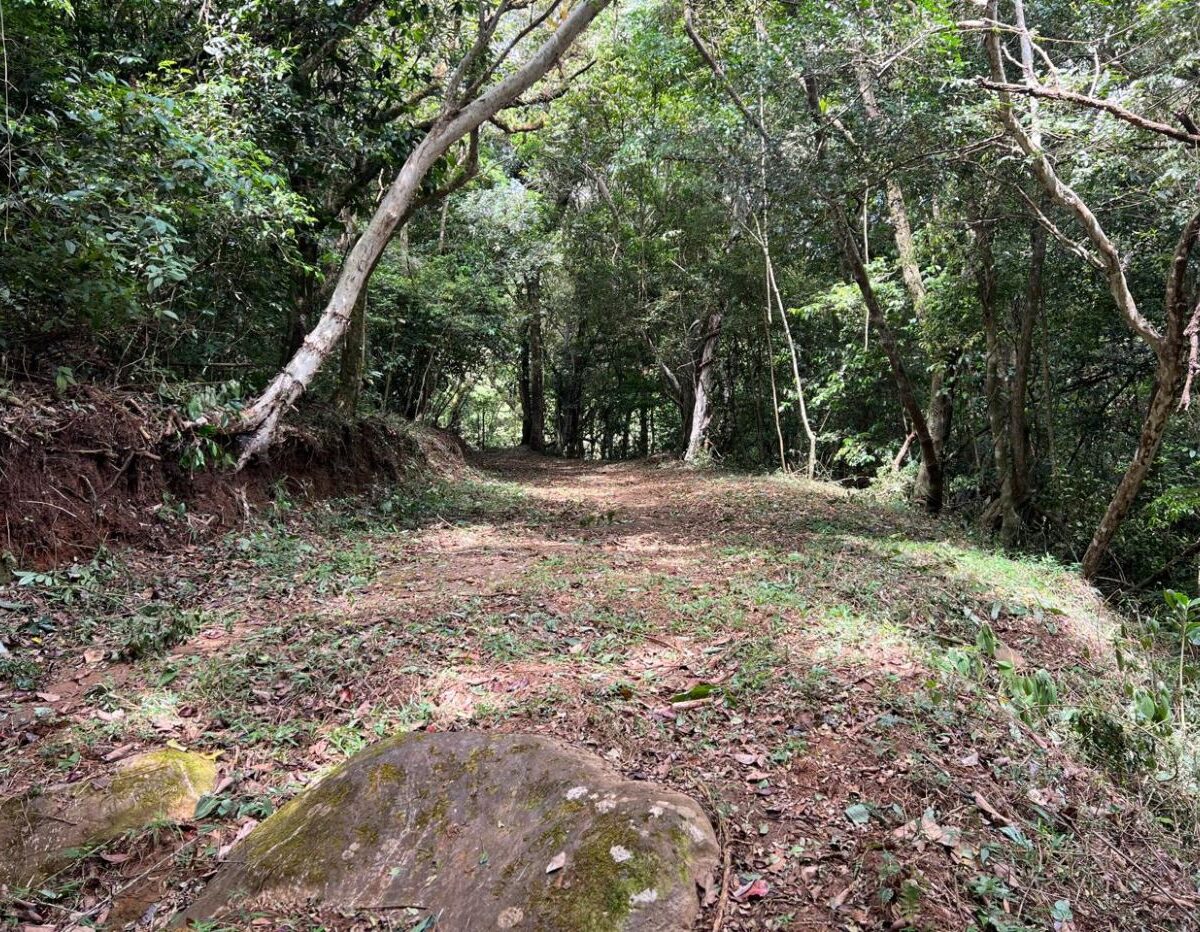 Building Lots for sale Costa Rica