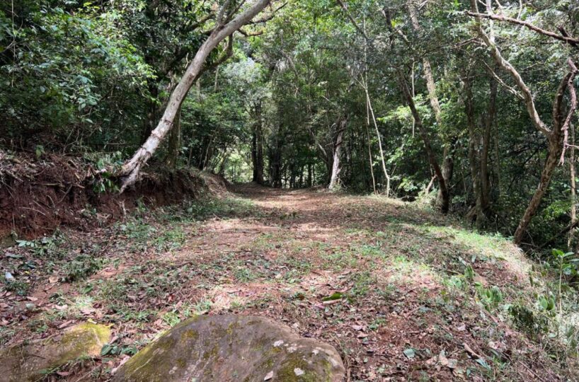 Building Lots for sale Costa Rica