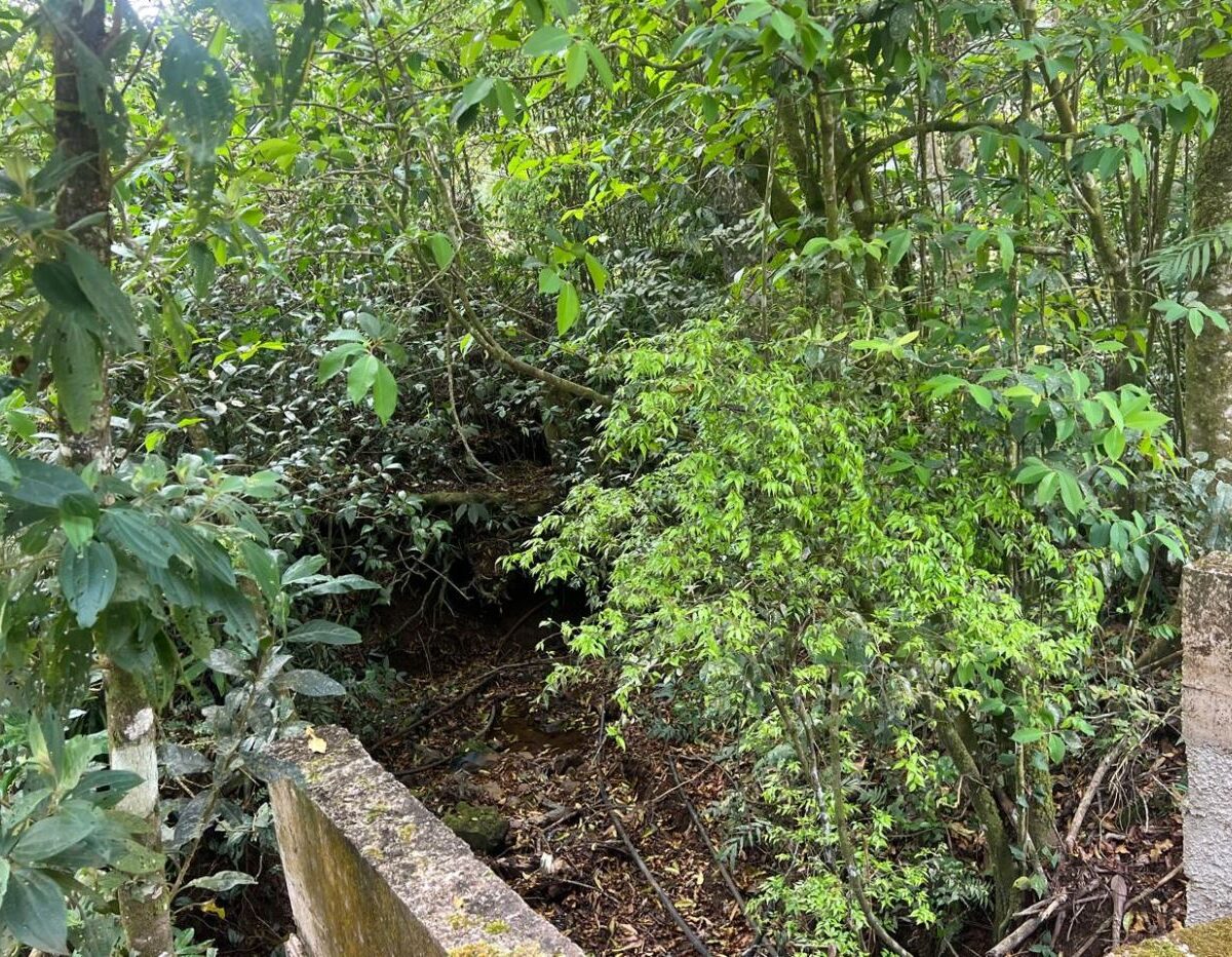 Building Lots for sale Costa Rica