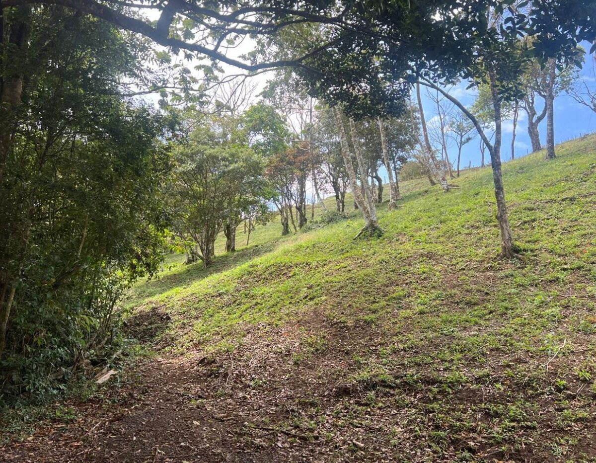 Building Lots for sale Costa Rica