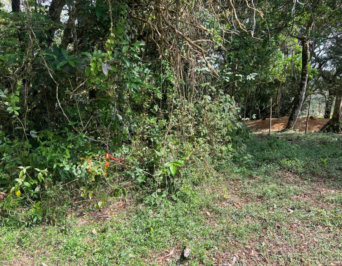 Building Lots for sale Costa Rica
