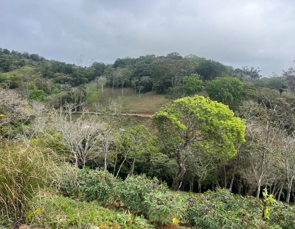 Building Lots for sale Costa Rica