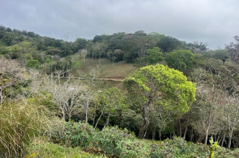 Building Lots for sale Costa Rica