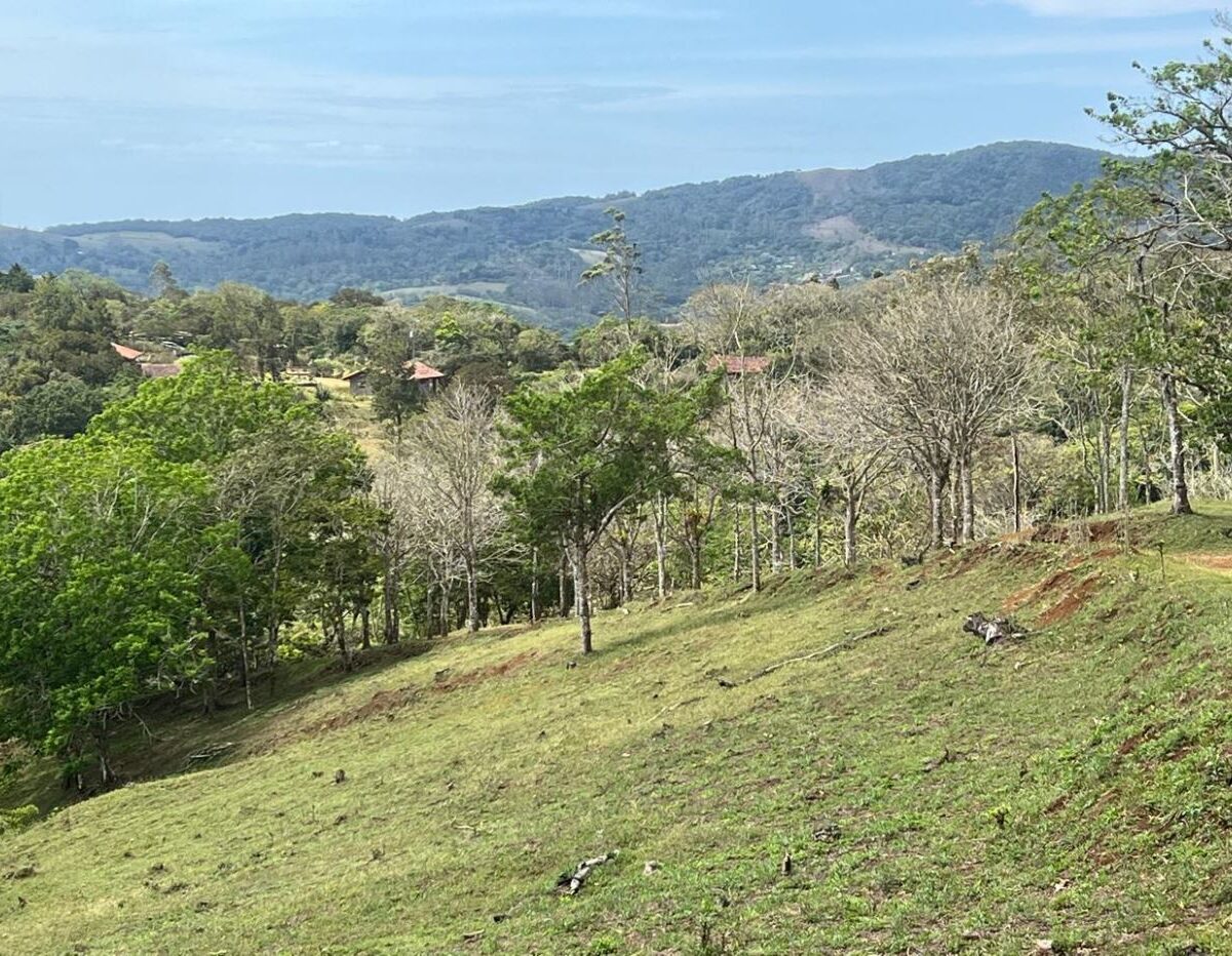 Building Lots for sale Costa Rica