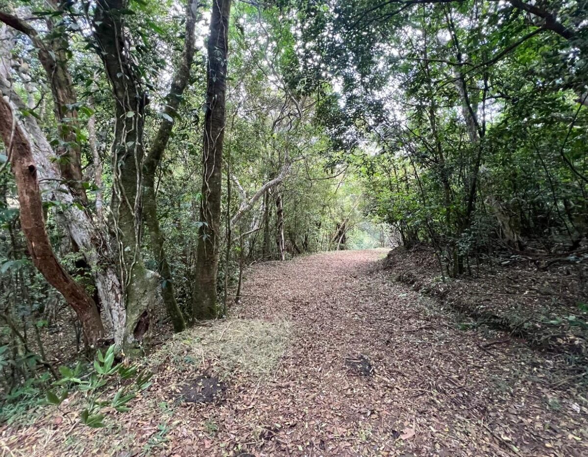 Building Lots for sale Costa Rica