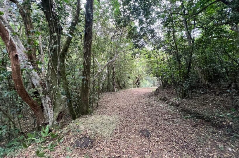 Building Lots for sale Costa Rica