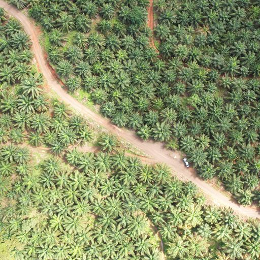 Development LandFarms and Ranches for sale in Parrita Costa Rica