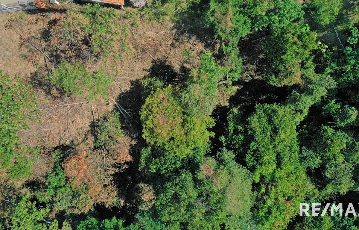 Building Lots for sale in Hermosa Beach Costa Rica