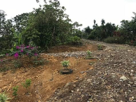 Building Lots for sale in Turrialba Costa Rica