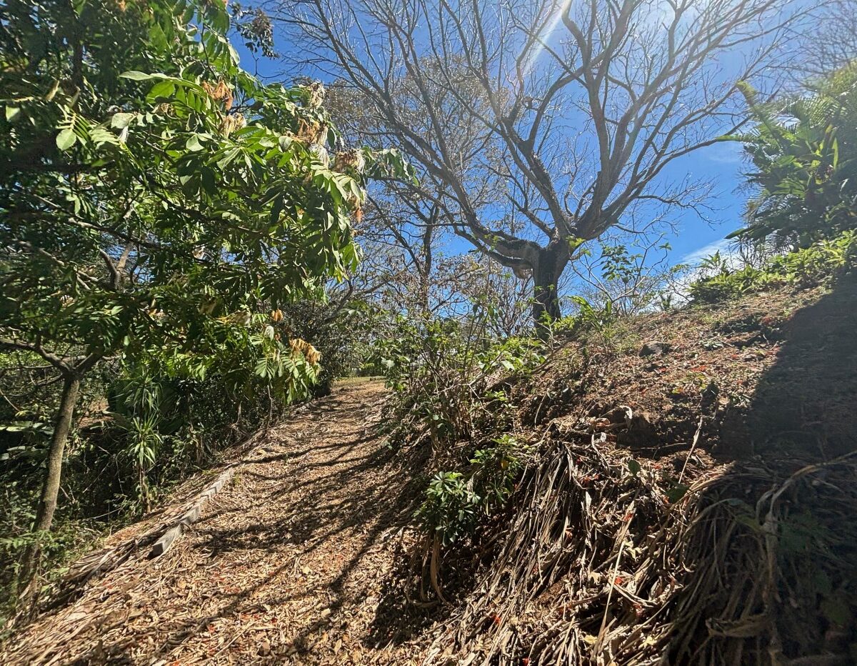 Homes for sale in Turrucares Costa Rica