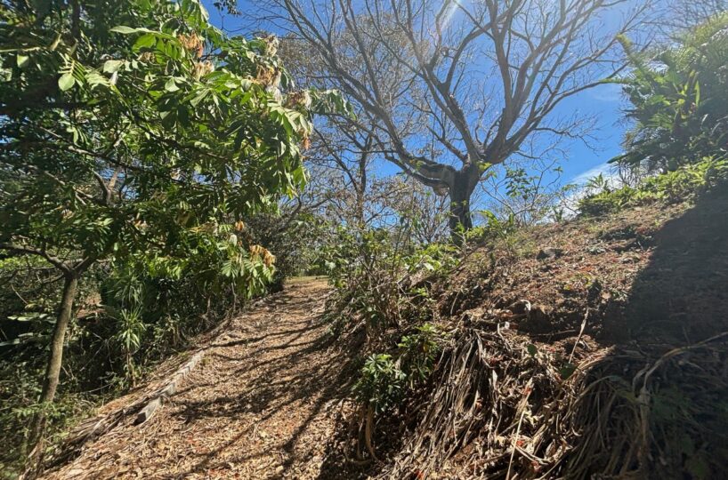 Homes for sale in Turrucares Costa Rica