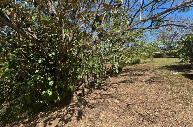 Homes for sale in Turrucares Costa Rica