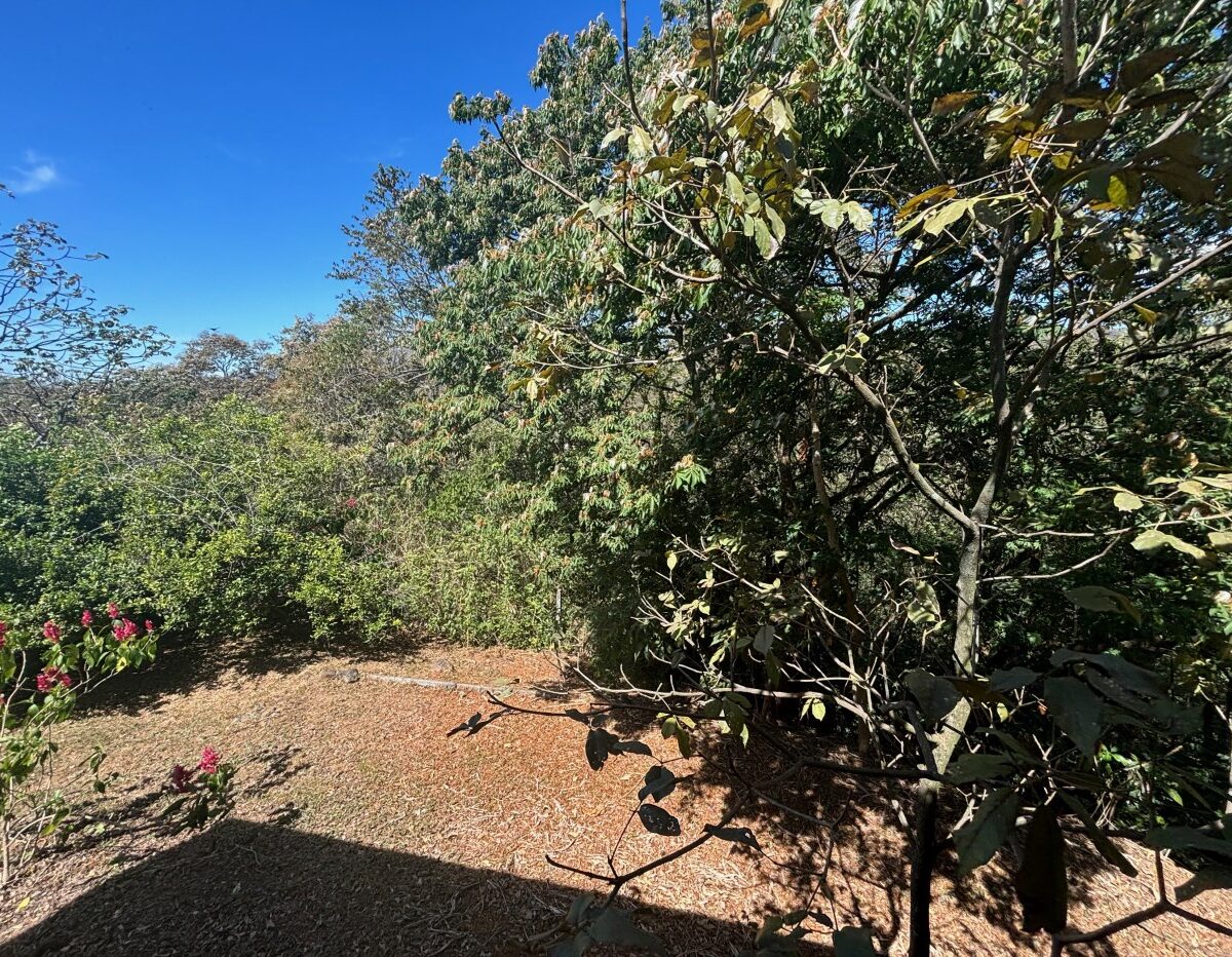 Homes for sale in Turrucares Costa Rica