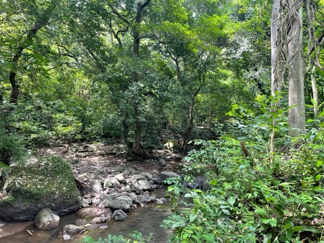 Homes for sale in Turrucares Costa Rica