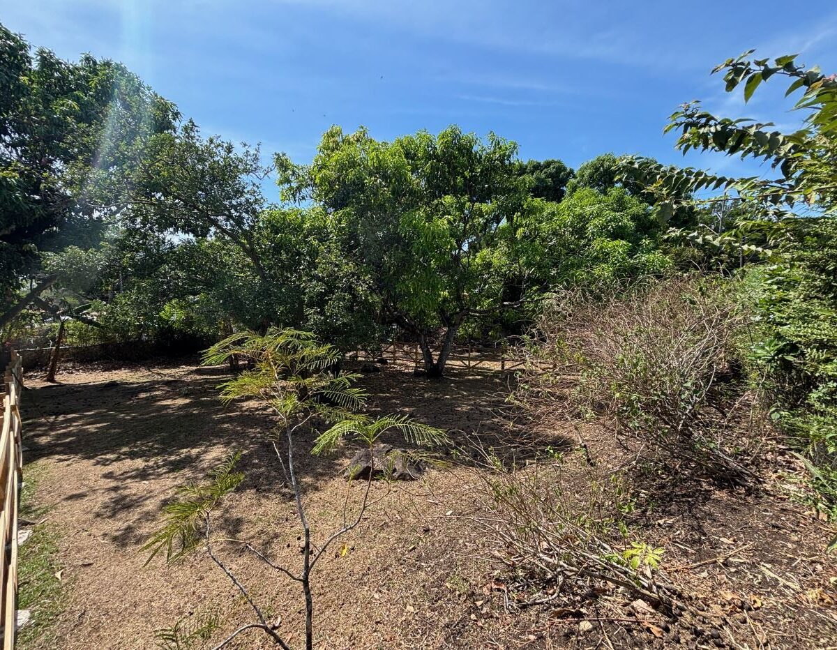 Homes for sale in Turrucares Costa Rica