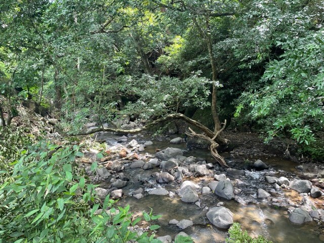 Homes for sale in Turrucares Costa Rica