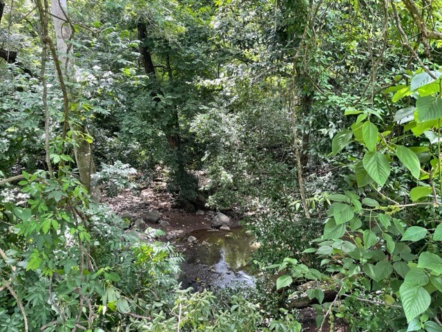 Homes for sale in Turrucares Costa Rica