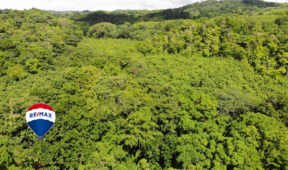 Farms and Ranches for sale in Parrita Costa Rica