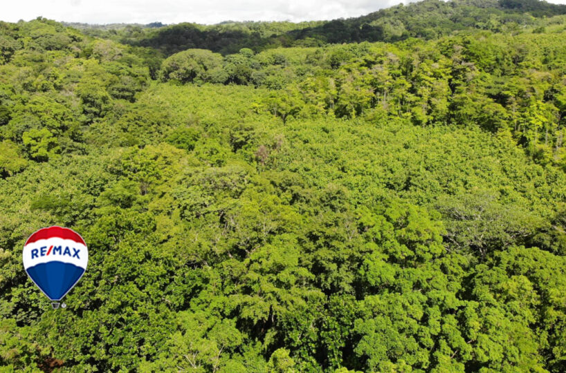 Farms and Ranches for sale in Parrita Costa Rica