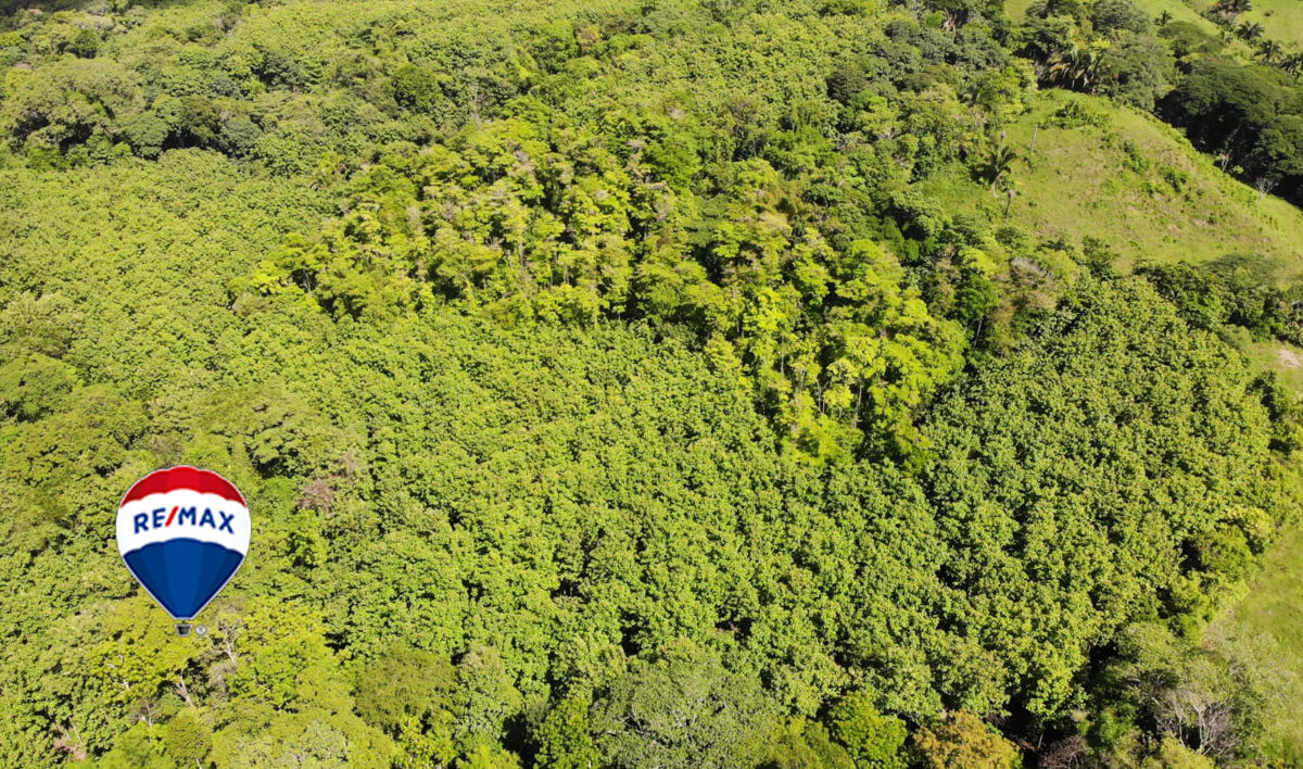 Farms and Ranches for sale in Parrita Costa Rica