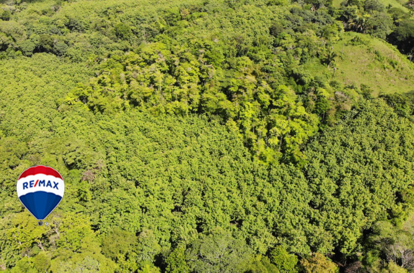 Farms and Ranches for sale in Parrita Costa Rica