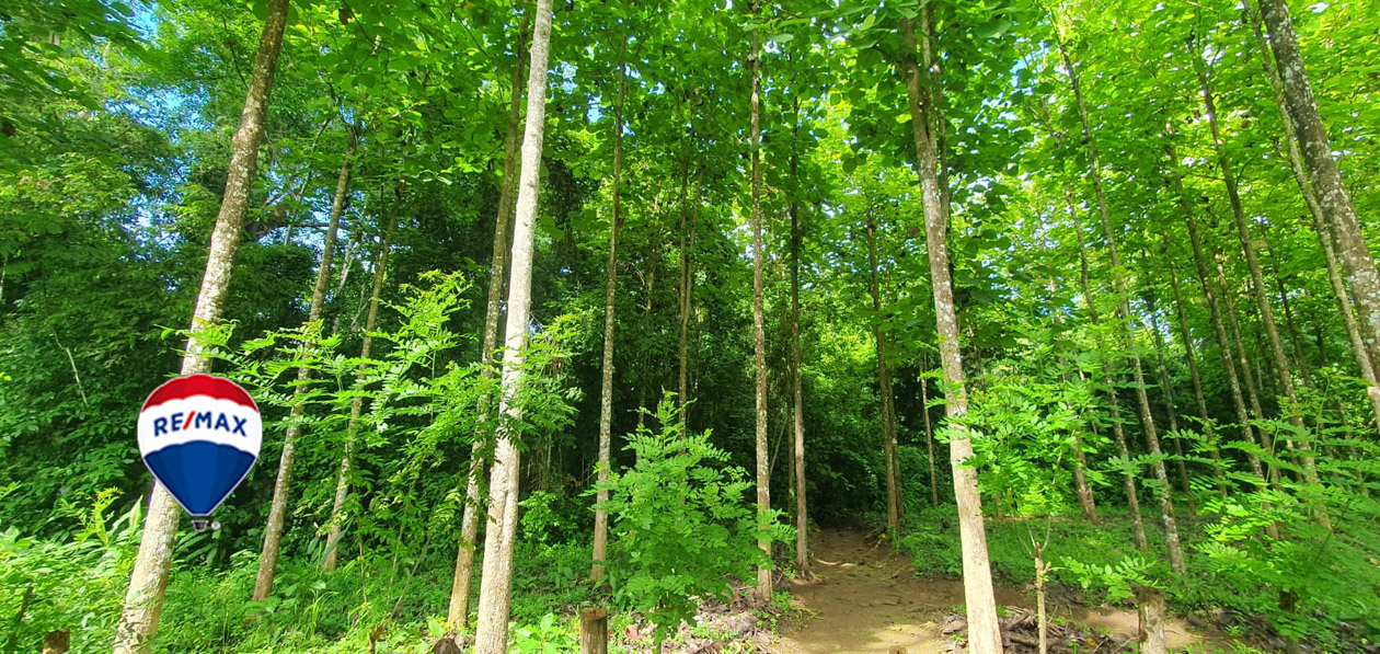 Farms and Ranches for sale in Parrita Costa Rica