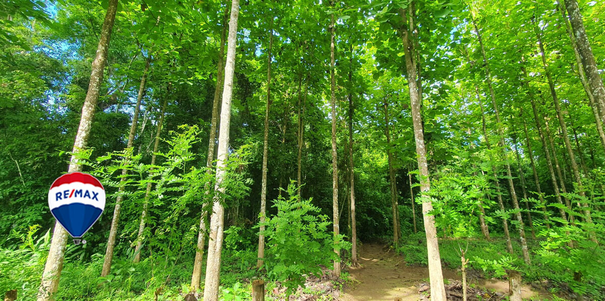 Farms and Ranches for sale in Parrita Costa Rica