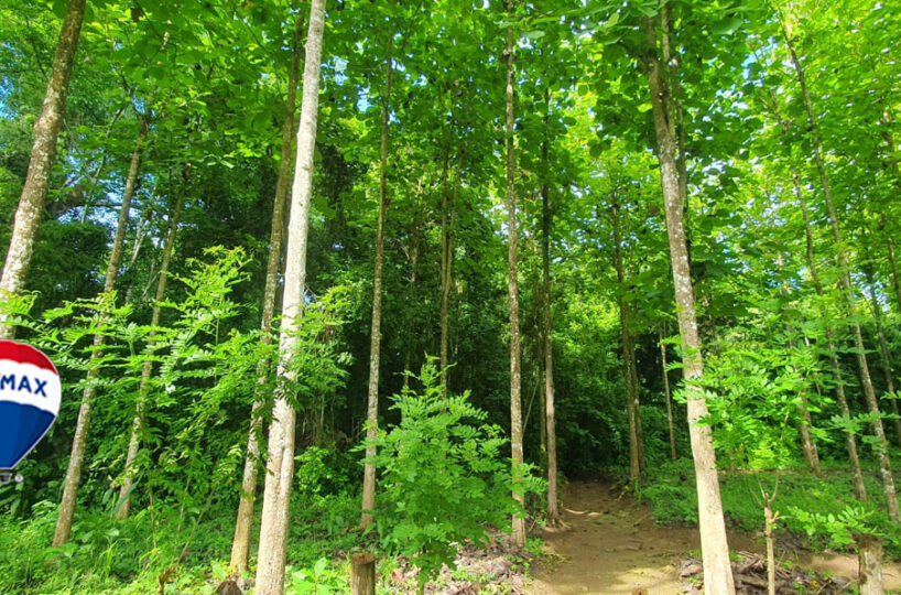 Farms and Ranches for sale in Parrita Costa Rica