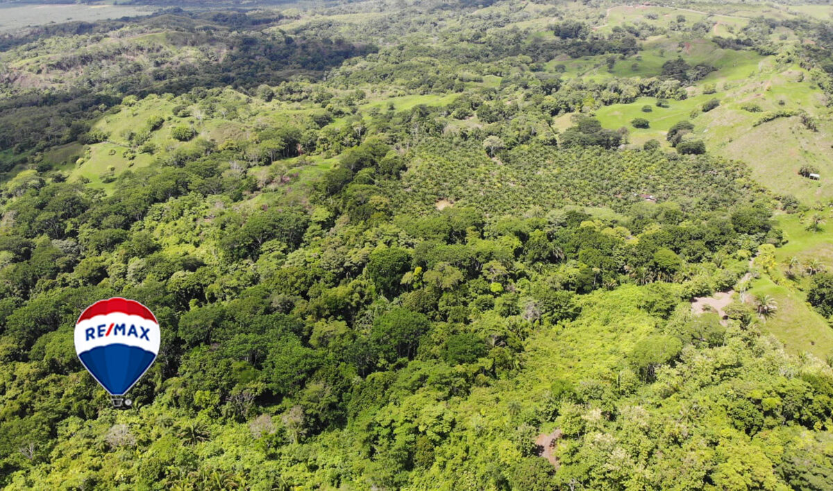 Farms and Ranches for sale in Parrita Costa Rica