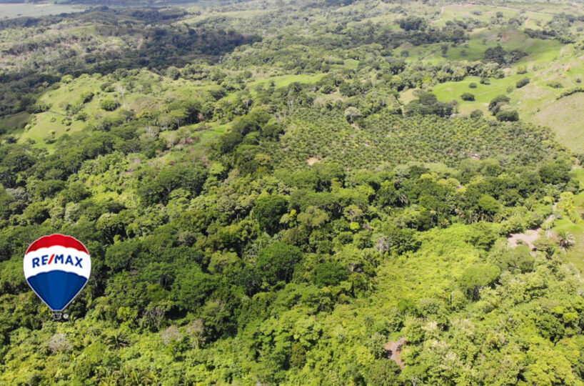 Farms and Ranches for sale in Parrita Costa Rica