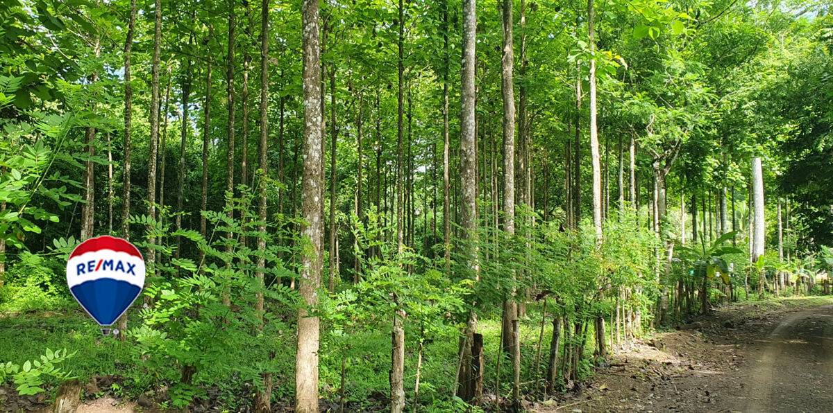 Farms and Ranches for sale in Parrita Costa Rica