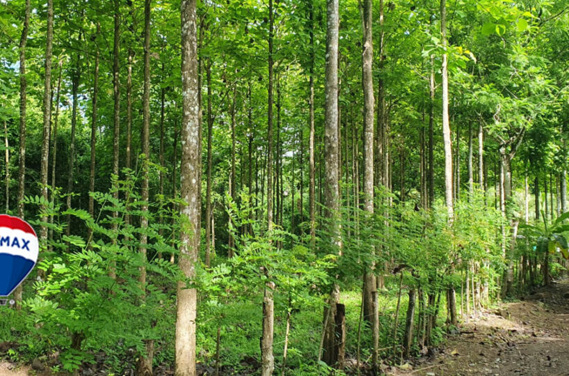 Farms and Ranches for sale in Parrita Costa Rica