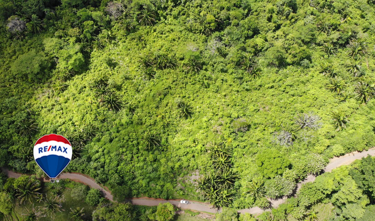 Farms and Ranches for sale in Parrita Costa Rica