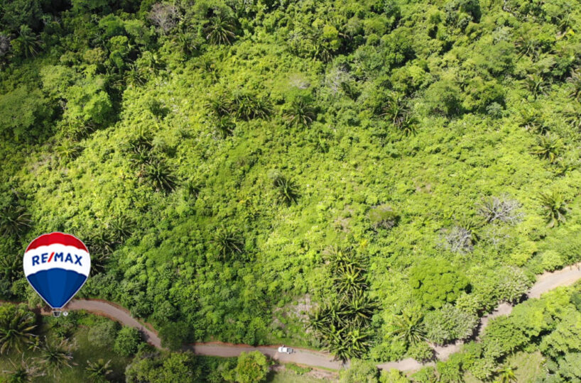 Farms and Ranches for sale in Parrita Costa Rica