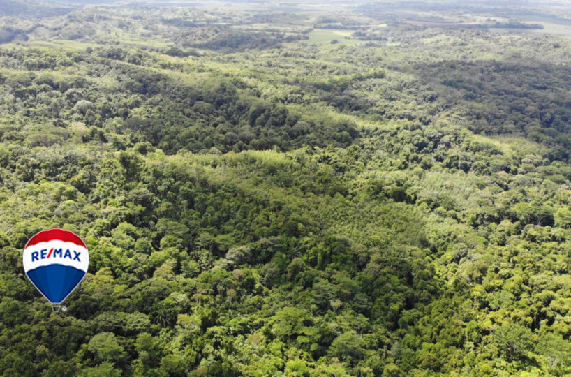 Farms and Ranches for sale in Parrita Costa Rica