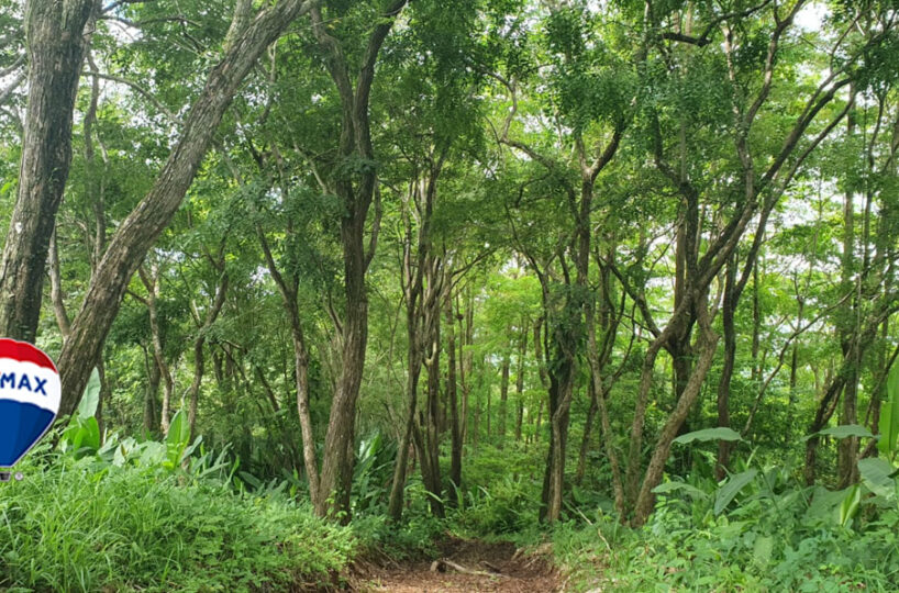 Farms and Ranches for sale in Parrita Costa Rica