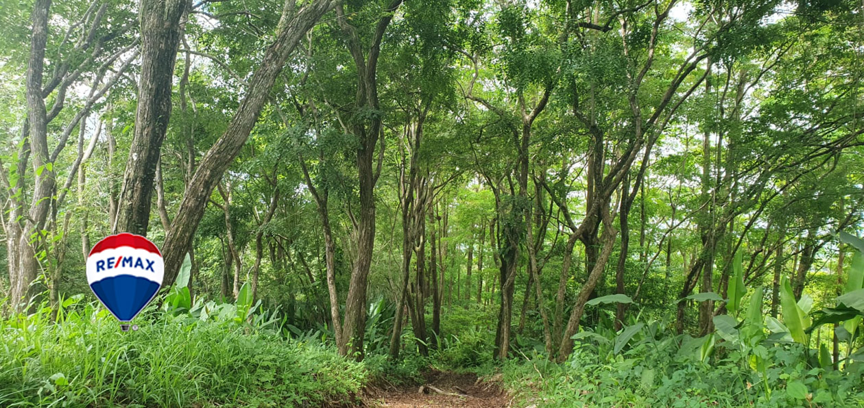 Farms and Ranches for sale in Parrita Costa Rica