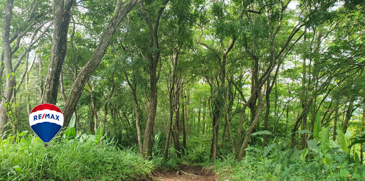 Farms and Ranches for sale in Parrita Costa Rica