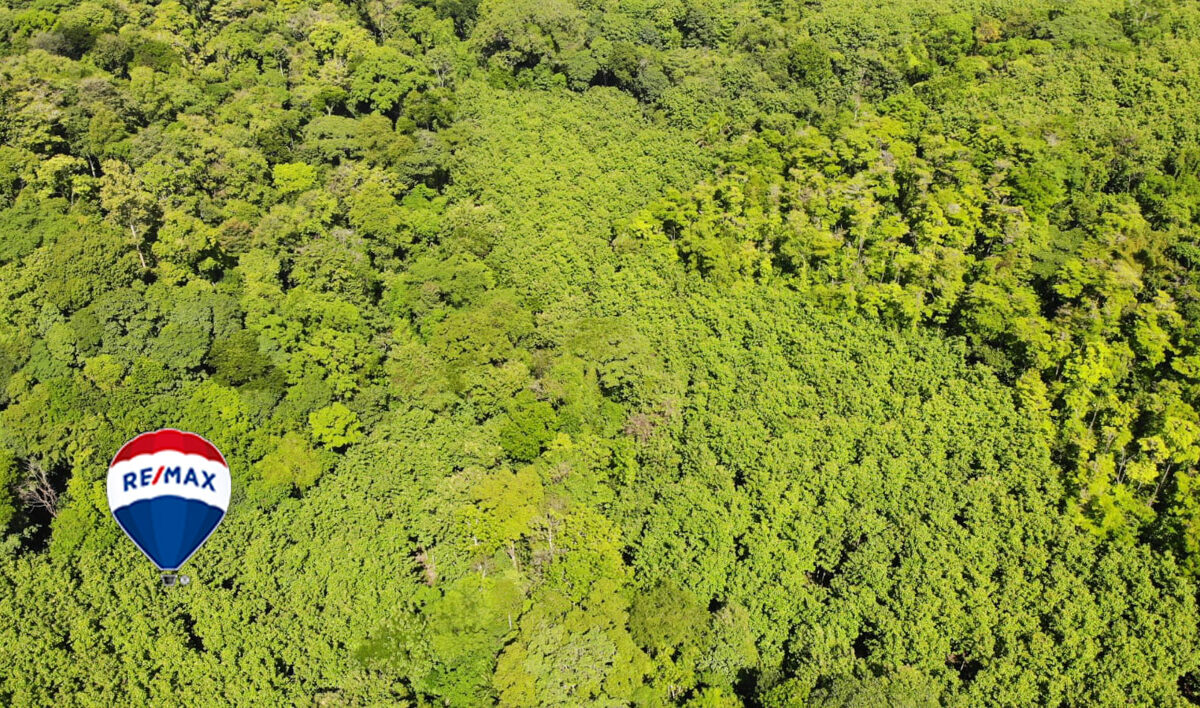 Farms and Ranches for sale in Parrita Costa Rica