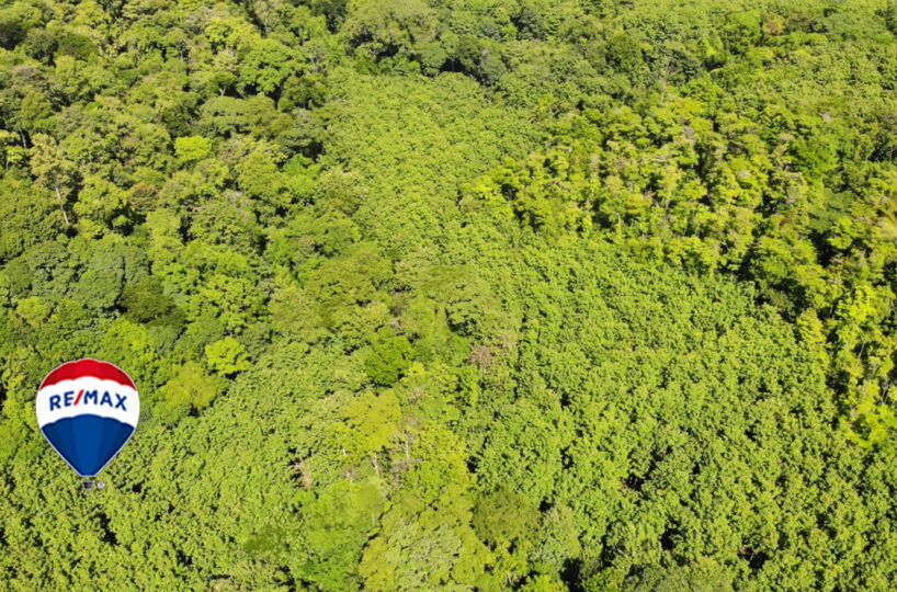 Farms and Ranches for sale in Parrita Costa Rica