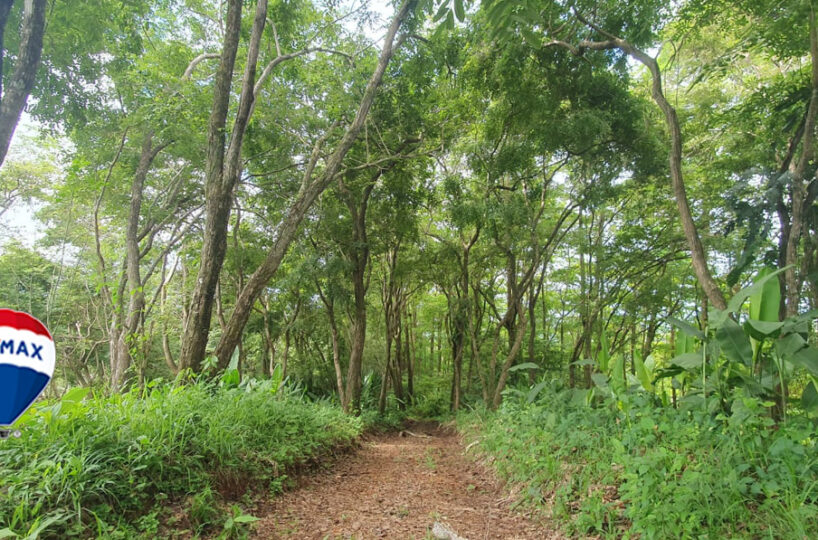 Farms and Ranches for sale in Parrita Costa Rica